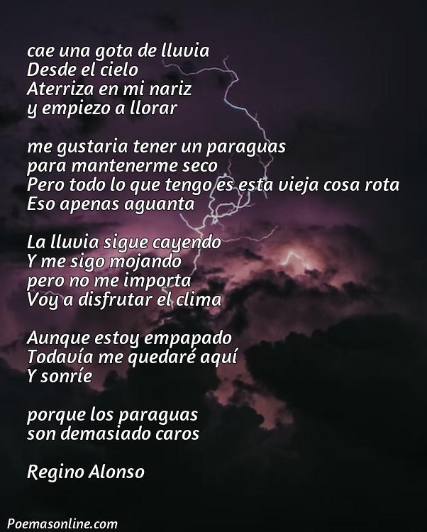 Corto Poema sobre Paraguas, Poemas sobre Paraguas