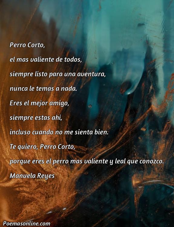 Excelente Poema sobre Perro Corto en Catalán, Poemas sobre Perro Corto en Catalán