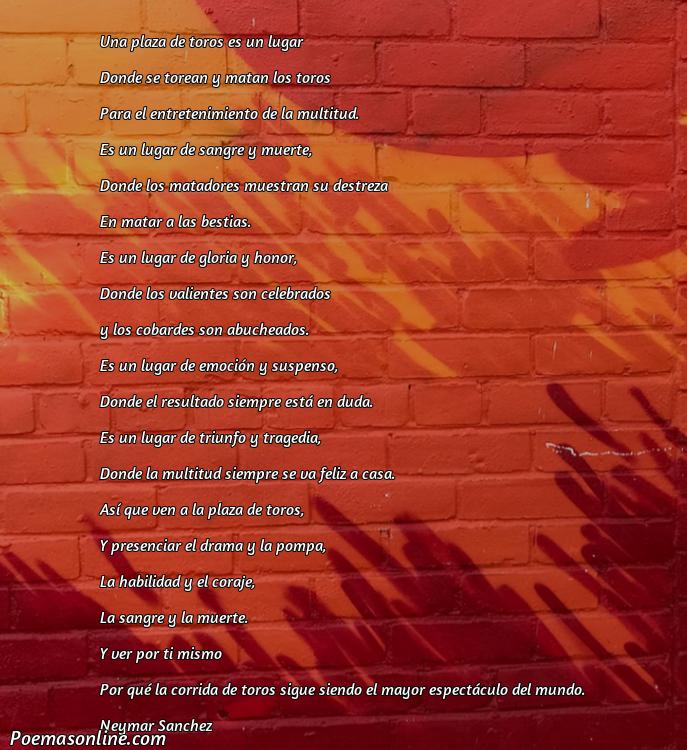 Hermoso Poema sobre Plaza de Toros, Poemas sobre Plaza de Toros