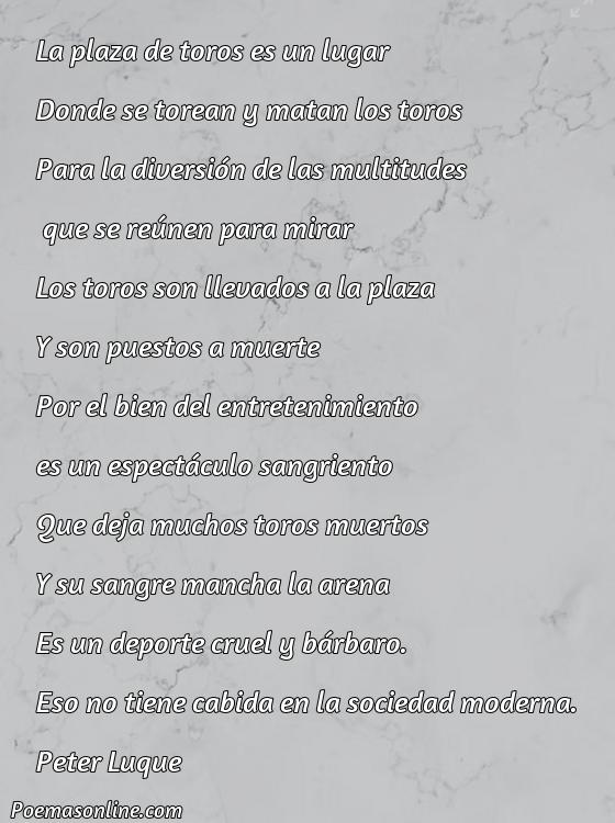 Excelente Poema sobre Plaza de Toros, 5 Poemas sobre Plaza de Toros