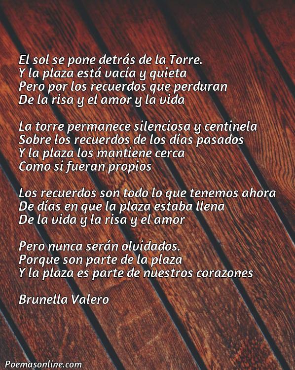 Reflexivo Poema sobre Plaza de Torre, 5 Poemas sobre Plaza de Torre