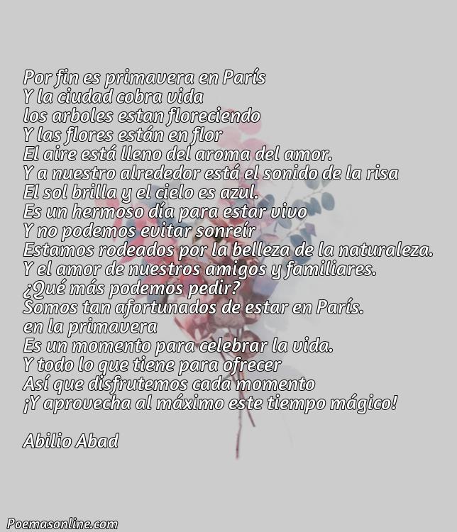 Hermoso Poema sobre Primavera Em Paris, Poemas sobre Primavera Em Paris