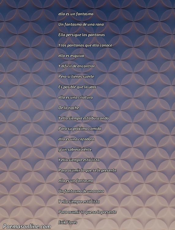 Hermoso Poema sobre Rana Fantasma, Cinco Poemas sobre Rana Fantasma