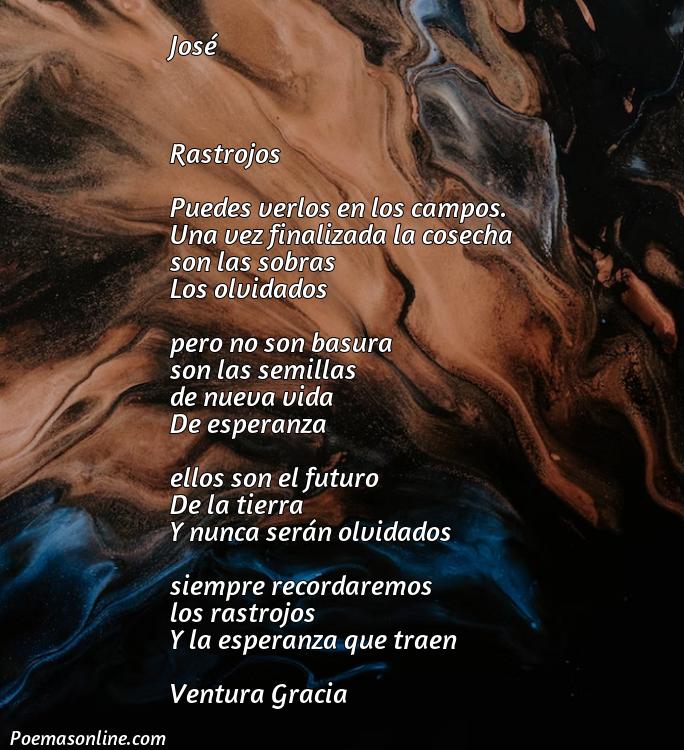 Lindo Poema sobre Rastro, Poemas sobre Rastro