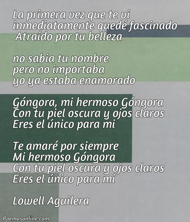 Hermoso Poema sobre Sin Nombralo de Gongora, 5 Mejores Poemas sobre Sin Nombralo de Gongora