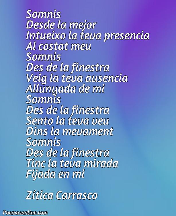 Corto Poema sobre Somnis Desde la Finestre, Poemas sobre Somnis Desde la Finestre