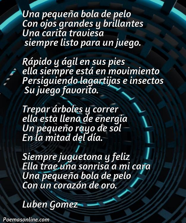 Hermoso Poema sobre Suricatas, Cinco Mejores Poemas sobre Suricatas