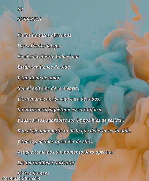 Hermoso Poema sobre Suricatas, Cinco Mejores Poemas sobre Suricatas