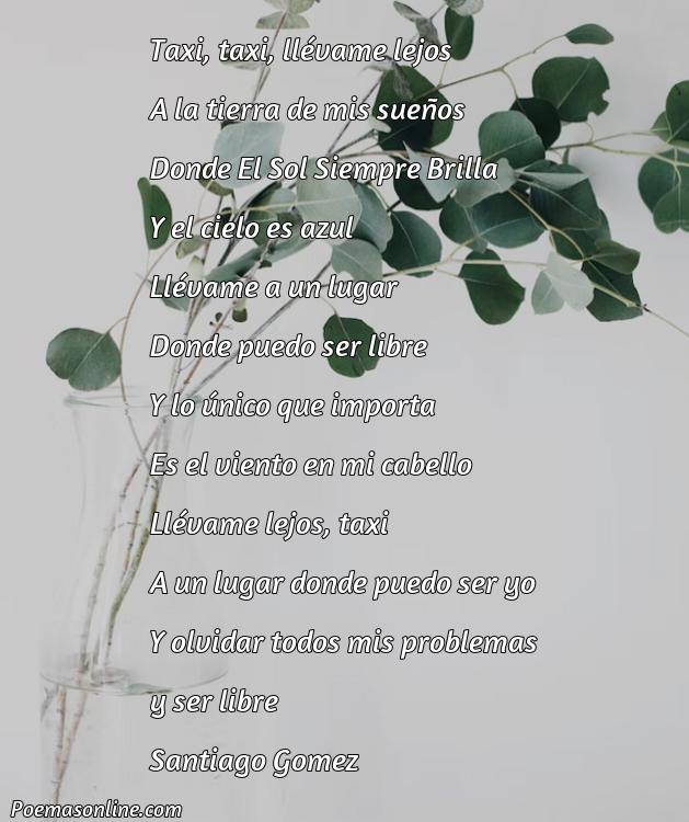 Corto Poema sobre Taxista, Cinco Mejores Poemas sobre Taxista