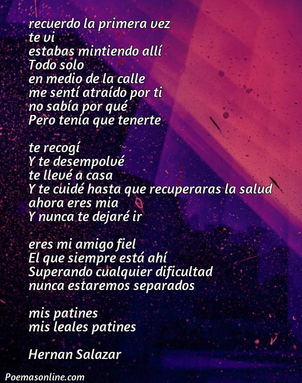 Corto Poema sobre un Objeto Por Ejemplo Unos Patines, Poemas sobre un Objeto Por Ejemplo Unos Patines