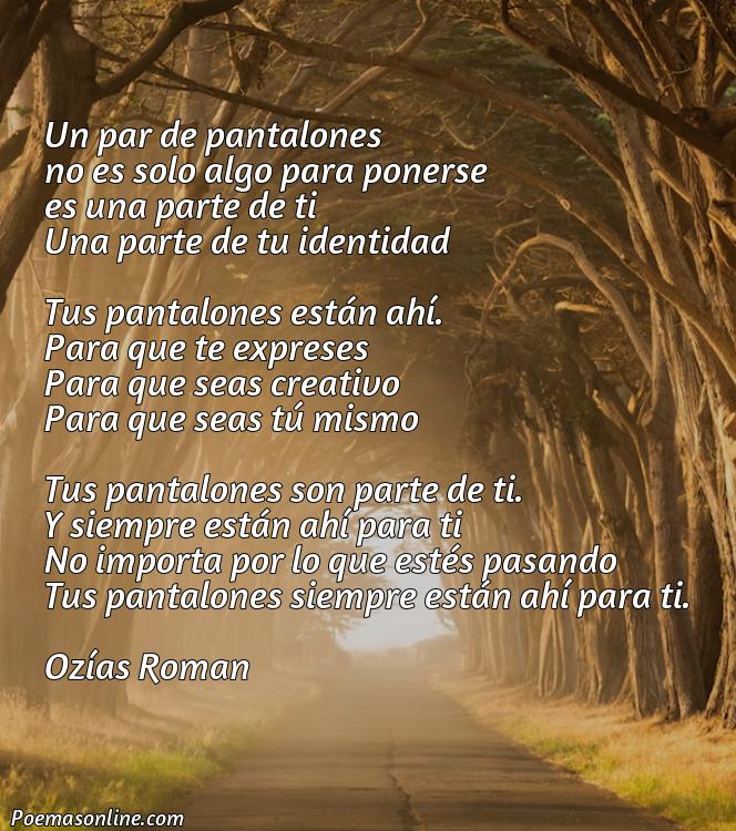 Reflexivo Poema sobre un Pantalón, Poemas sobre un Pantalón