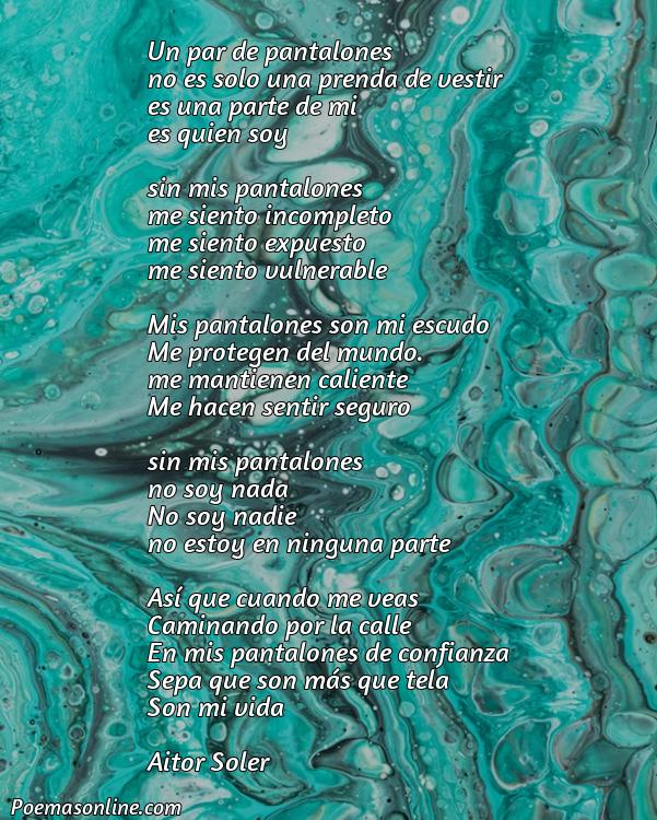 Excelente Poema sobre un Pantalón, Poemas sobre un Pantalón