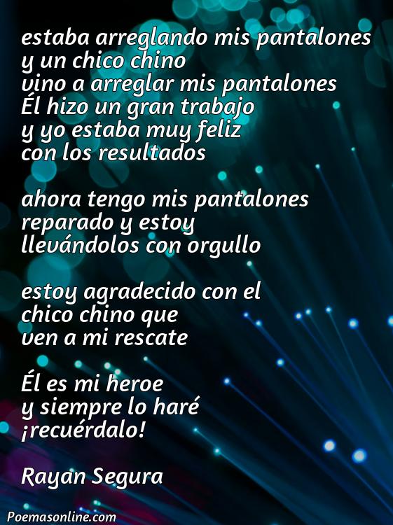 Hermoso Poema sobre un Pantalón que Arreglar y un Chino, Poemas sobre un Pantalón que Arreglar y un Chino