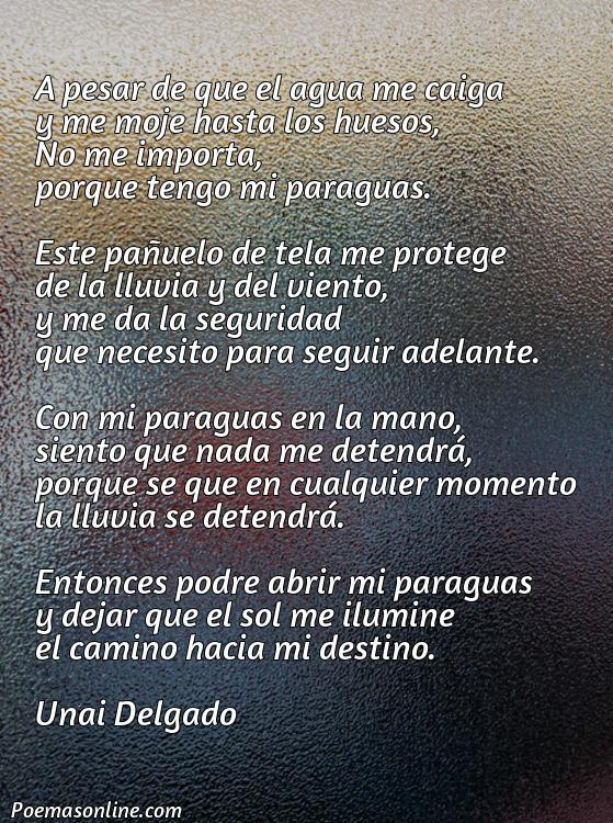 Reflexivo Poema sobre un Paragua, Poemas sobre un Paragua