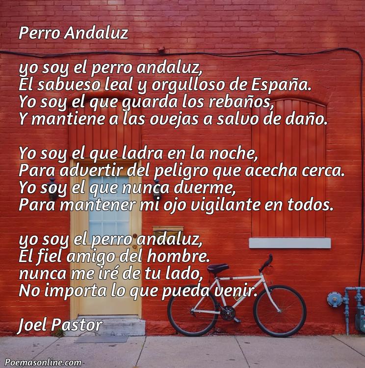 Mejor Poema sobre un Perro Andaluz, Cinco Poemas sobre un Perro Andaluz