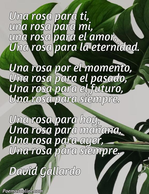 Hermoso Poema una Rosa Roja para Ti, 5 Poemas una Rosa Roja para Ti
