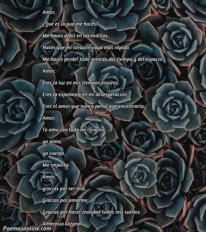 Lindo Poema y Versos de Amor, Cinco Mejores Poemas y Versos de Amor